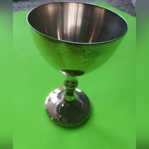 Elegant Silver Goblet